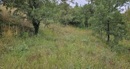 Saint-Paul-en-Forêt Terrain à bâtir - 2438798-5163annonce320260223bhrtS.jpeg Maisons Open