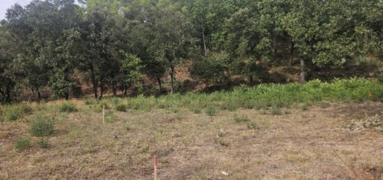 Terrain à bâtir à Taradeau, Provence-Alpes-Côte d'Azur