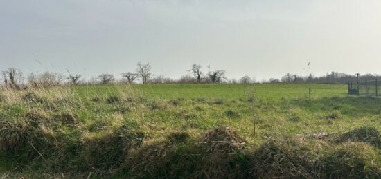 Terrain à bâtir à , Manche