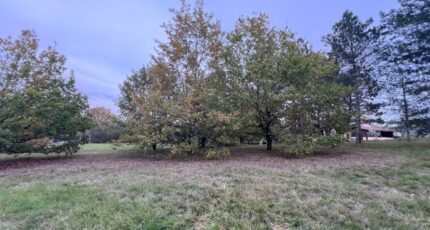 Montberon Terrain à bâtir - 2438724-3925annonce220260223TiHDq.jpeg Maisons Open