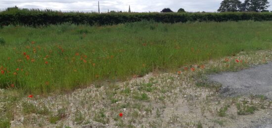 Terrain à bâtir à Mazingarbe, Hauts-de-France