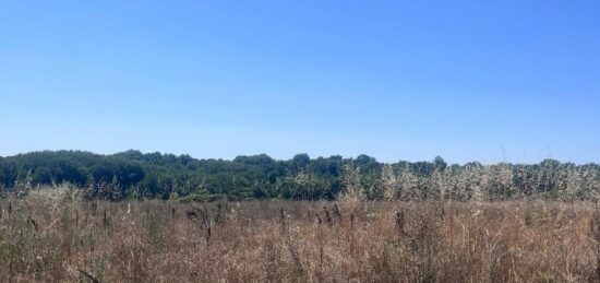 Terrain à bâtir à Saint-Augustin, Nouvelle-Aquitaine