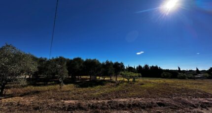 Puget-sur-Argens Terrain à bâtir - 2442469-11157annonce320260227iUf9O.jpeg Maisons Open