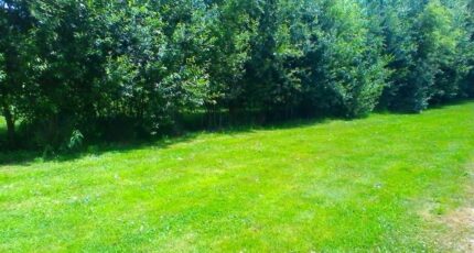 Yerres Terrain à bâtir - 2441315-10729annonce120260226PidWt.jpeg Maisons Open