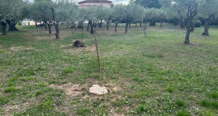 Lorgues Terrain à bâtir - 2443375-3951annonce120260227Zhv7a.jpeg Maisons Open