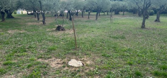 Terrain à bâtir à Lorgues, Provence-Alpes-Côte d'Azur