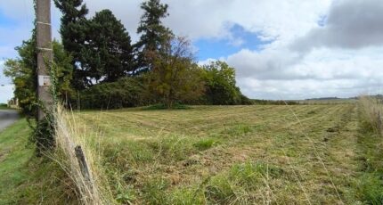 Couilly-Pont-aux-Dames Terrain à bâtir - 2375963-11657annonce120251226aKJ52.jpeg Maisons Open