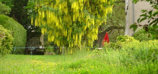 Terrain à bâtir à Marcilly, Île-de-France