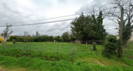 Ambarès-et-Lagrave Terrain à bâtir - 2390761-11687annonce120260113WMIdQ.jpeg Maisons Open