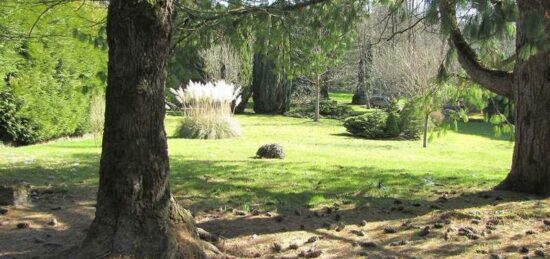 Terrain à bâtir à Ormoy, Île-de-France