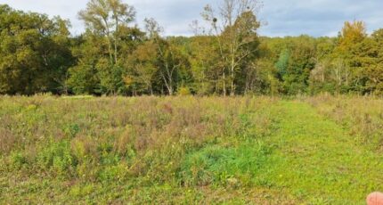 Fontenilles Terrain à bâtir - 2442666-9555annonce120260227wpclW.jpeg Maisons Open