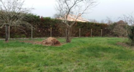 Bragayrac Terrain à bâtir - 2442769-9555annonce120260227J4uAD.jpeg Maisons Open