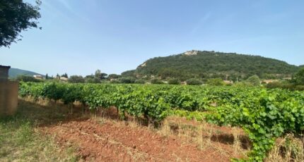 Gonfaron Terrain à bâtir - 2441422-5922annonce120260226fqsG5.jpeg Maisons Open