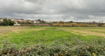 Puisserguier Terrain à bâtir - 2411553-11018annonce320260129N0xVK.jpeg Maisons Open