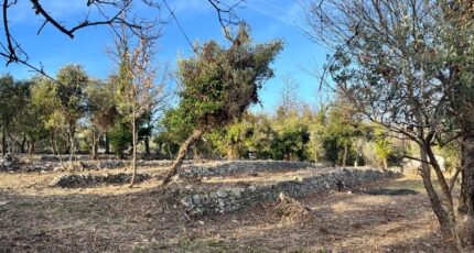 Mons Terrain à bâtir - 2444753-10140annonce220260302M8wxW.jpeg Maisons Open