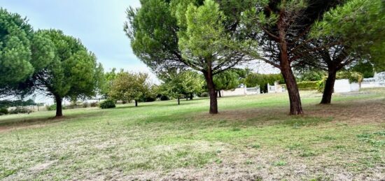 Terrain à bâtir à Saint-Rogatien, Nouvelle-Aquitaine