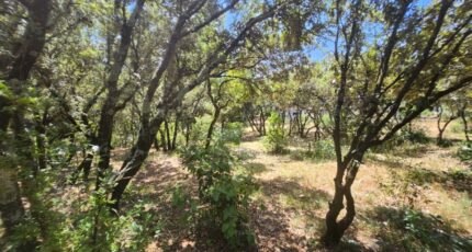 Bourg-Saint-Andéol Terrain à bâtir - 2378357-812annonce220251230zeODC.jpeg Maisons Open