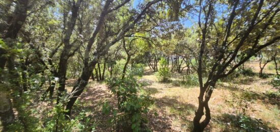 Terrain à bâtir à , Ardèche