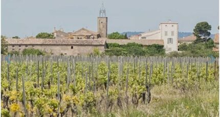 Cruscades Terrain à bâtir - 2348198-3971annonce120260115oecGH.jpeg Maisons Open