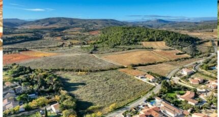 Portel-des-Corbières Terrain à bâtir - 2348175-3971annonce12026011554qJW.jpeg Maisons Open