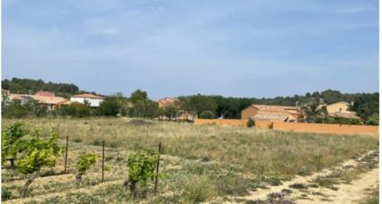 Portel-des-Corbières Terrain à bâtir - 2348269-3971annonce120241025KKCDL.jpeg Maisons Open