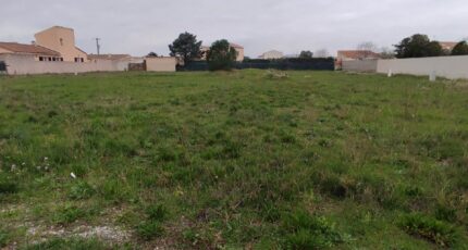 Saint-Nazaire-d'Aude Terrain à bâtir - 2445201-11782annonce220260302ecT5g.jpeg Maisons Open