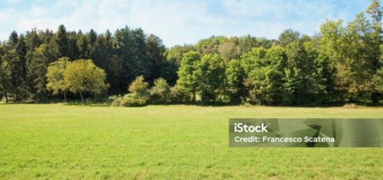 Terrain à bâtir à Gazeran, Île-de-France