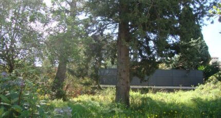 La Crau Terrain à bâtir - 2445061-11080annonce2202603026Vm3k.jpeg Maisons Open