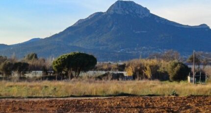 La Crau Terrain à bâtir - 2445181-11080annonce220260302y0xHT.jpeg Maisons Open