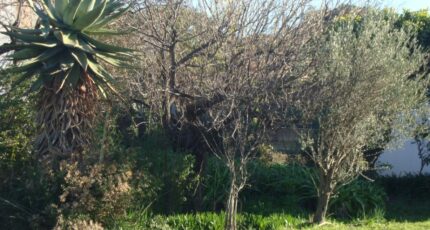 Pignans Terrain à bâtir - 2445204-11080annonce1202603029UFRu.jpeg Maisons Open