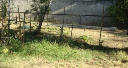 Cuers Terrain à bâtir - 2445138-11080annonce120260302iwQXB.jpeg Maisons Open