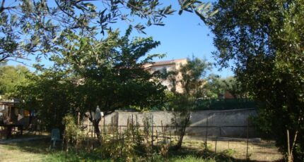 Cuers Terrain à bâtir - 2445138-11080annonce220260302dwWSv.jpeg Maisons Open