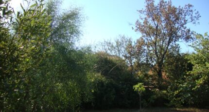 Cuers Terrain à bâtir - 2445138-11080annonce320260302lFggA.jpeg Maisons Open