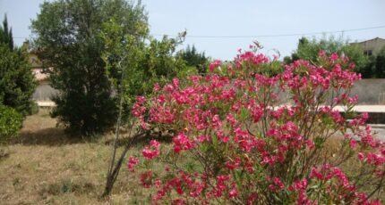 La Crau Terrain à bâtir - 2445240-11080annonce1202603022TvEx.jpeg Maisons Open