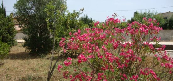 Terrain à bâtir à La Crau, Provence-Alpes-Côte d'Azur