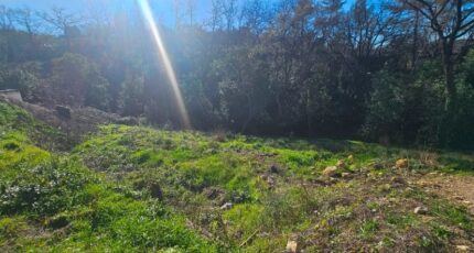 Opio Terrain à bâtir - 2445186-11719annonce1202603028sNAA.jpeg Maisons Open