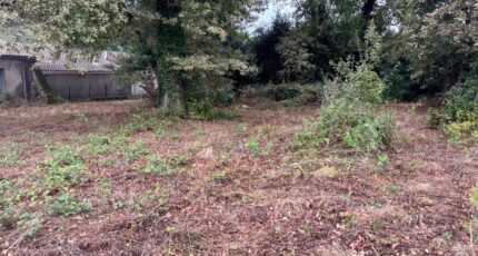 Saint-Estèphe Terrain à bâtir - 2445000-1093annonce120251111LvTLl.jpeg Maisons Open