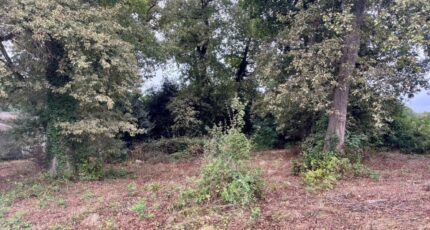 Saint-Estèphe Terrain à bâtir - 2445000-1093annonce2202511115RqT0.jpeg Maisons Open