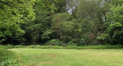 Saint-Estèphe Terrain à bâtir - 2445041-1093annonce2202603023wDSr.jpeg Maisons Open