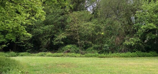 Terrain à bâtir à , Gironde