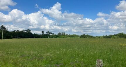 Montlieu-la-Garde Terrain à bâtir - 2445016-11015annonce120260302ZZ4q5.jpeg Maisons Open