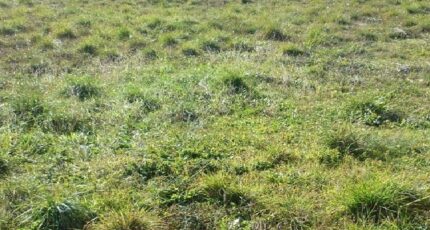 Trausse Terrain à bâtir - 2379396-10986annonce120250828bKomW.jpeg Maisons Open