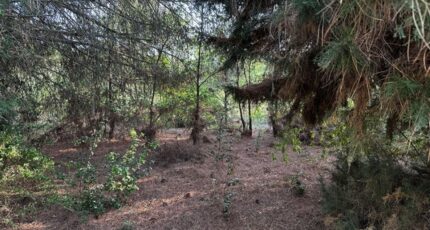 Lauraguel Terrain à bâtir - 2411224-10986annonce1202601298xZih.jpeg Maisons Open