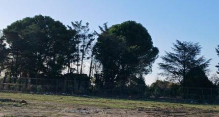 Caveirac Terrain à bâtir - 2445450-11040annonce120260302V6nK5.jpeg Maisons Open