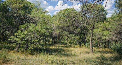 Salernes Terrain à bâtir - 2445350-11719annonce220260302IzzTB.jpeg Maisons Open