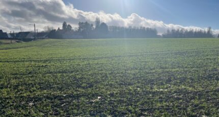 Divion Terrain à bâtir - 2343247-10222annonce220251119iHCaC.jpeg Maisons Open