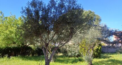 La Crau Terrain à bâtir - 2445584-11080annonce120260303J3585.jpeg Maisons Open