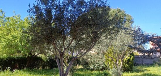 Terrain à bâtir à La Crau, Provence-Alpes-Côte d'Azur