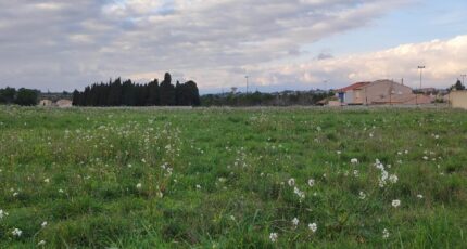 Fleury Terrain à bâtir - 2445507-11782annonce120260302Xp7og.jpeg Maisons Open