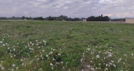 Fleury Terrain à bâtir - 2445507-11782annonce4202603021TA3t.jpeg Maisons Open